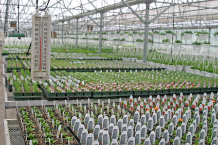 Household Garden Breeding Greenhouse Thermometer Greenhouse - Temu